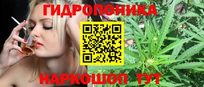 гашик Татарск